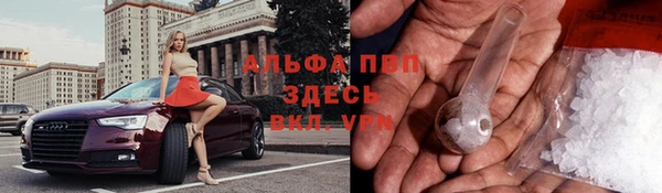 сатива Абдулино