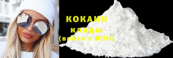 прущие грибы Абинск