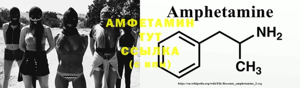 прущие грибы Абинск
