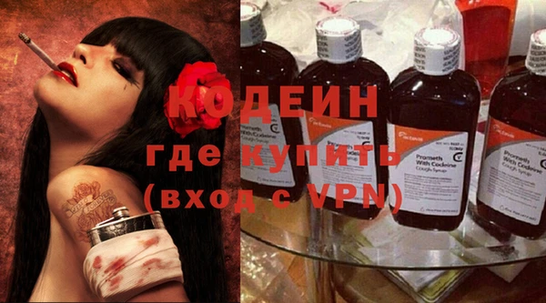 прущие грибы Абинск