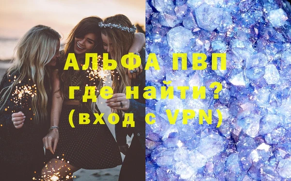 прущие грибы Абинск