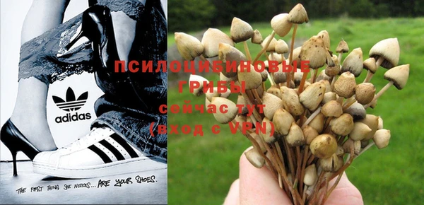 гидропоника Абаза