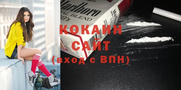 прущие грибы Абинск