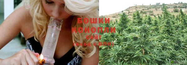 гидропоника Абаза