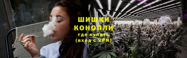 прущие грибы Абинск