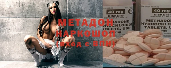 прущие грибы Абинск