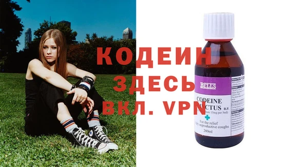 прущие грибы Абинск