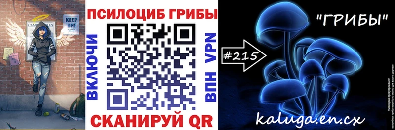 Псилоцибиновые грибы Cubensis  Новоалександровск 